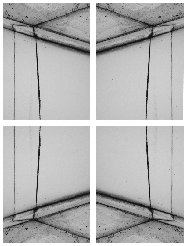 quadtych - 4x60x45cm - prints - 2014