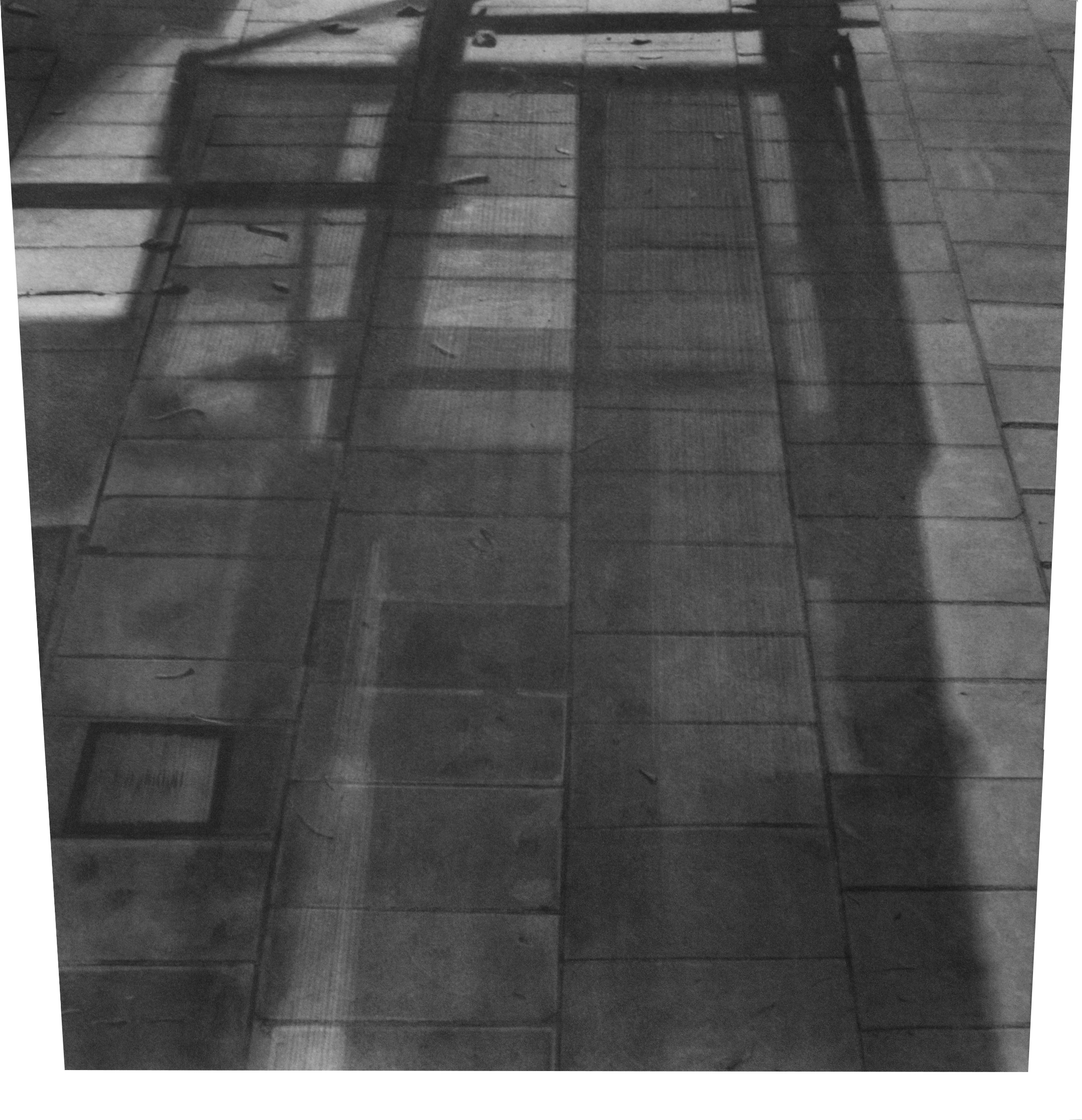 rest - 85x85cm - charcoal on paper - 2018