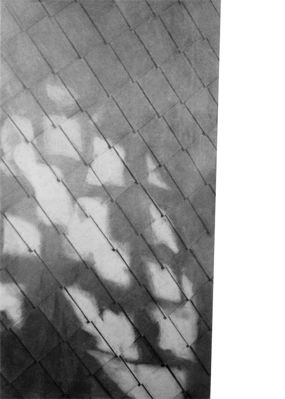 slate light - 94x66cm - charcoal on paper - 2017