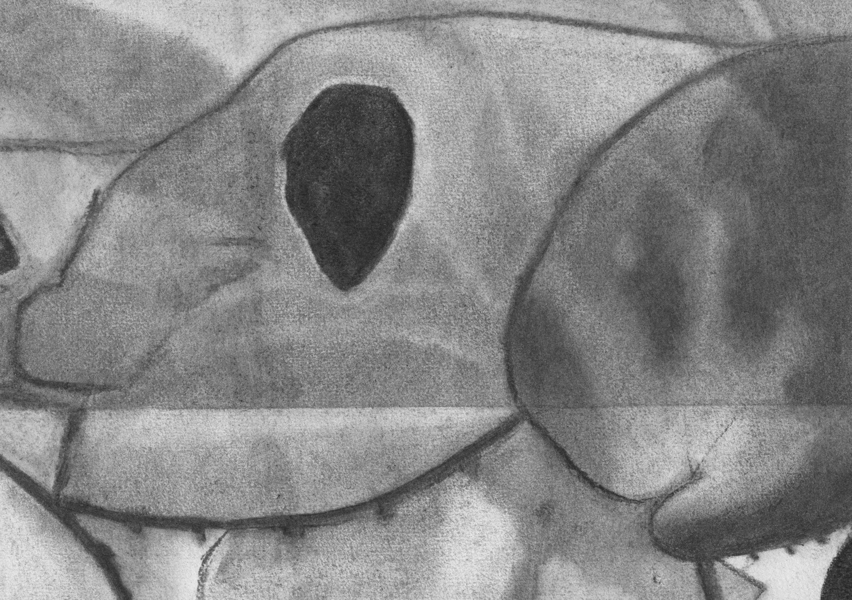 memory - 20x28,5cm - charcoal on paper - 2022